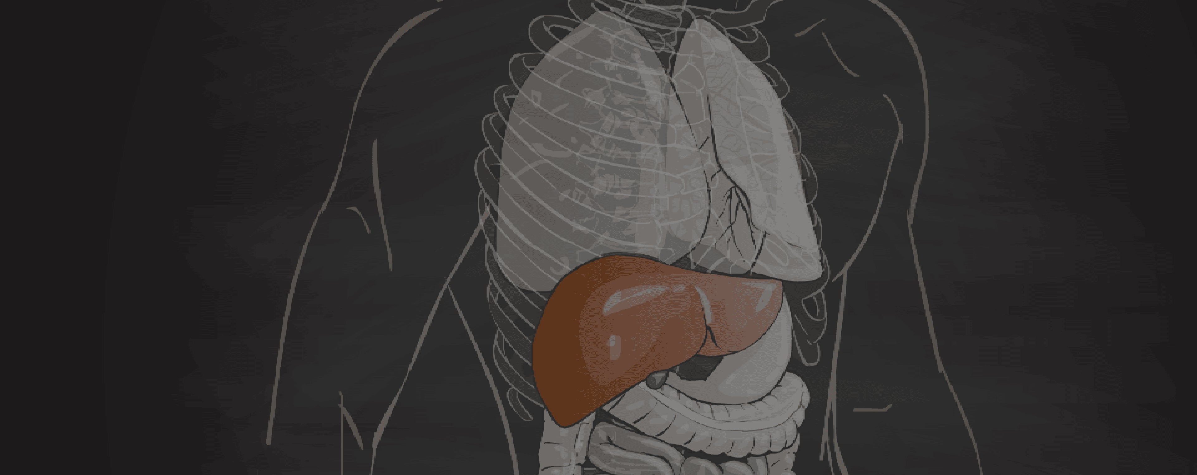 LIVER : THE WORKHORSE OF WELLNESS - Day One Performance